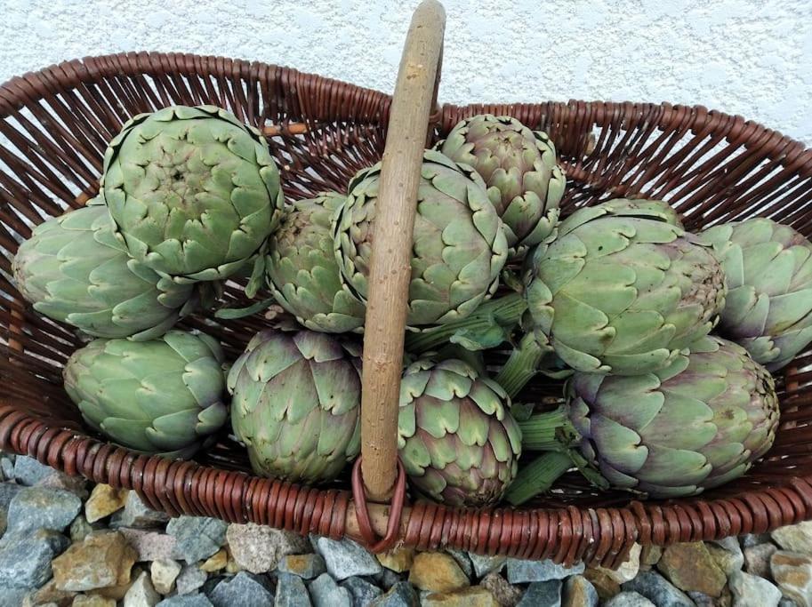 Gite La Grangette De Pauline Mercus-Garrabet Zewnętrze zdjęcie
