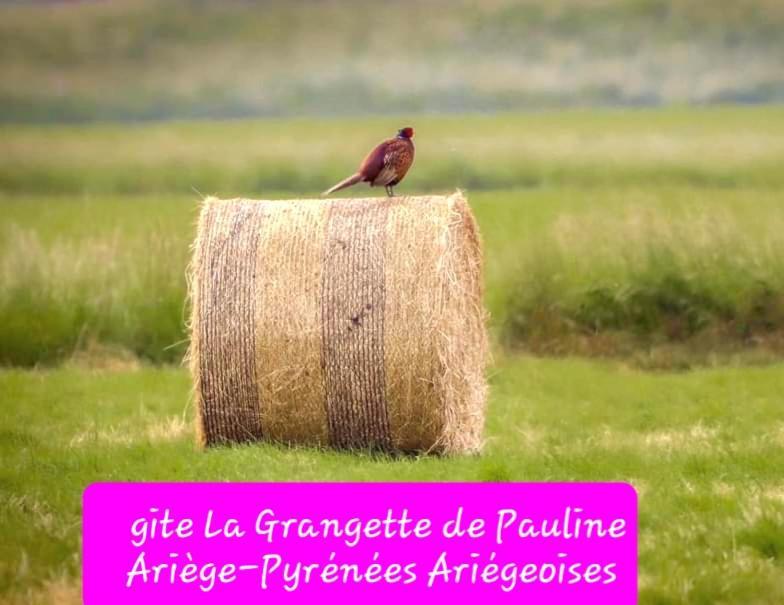Gite La Grangette De Pauline Mercus-Garrabet Zewnętrze zdjęcie